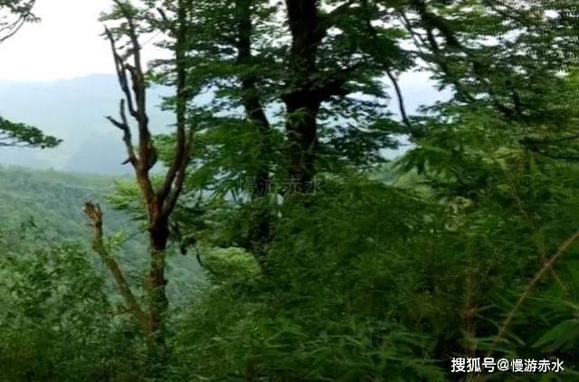卡通汽车拼拼看